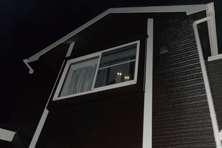 これは激オコですわぁ・・・。帰宅すると、二階の窓から恐怖の視線が注がれていました！！