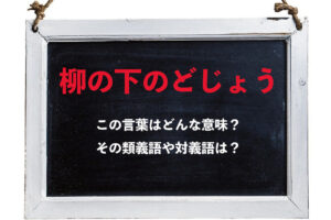 「柳の下のどじょう」とはどんな意味の言葉？その類義語や対義語は？