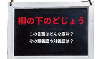 「柳の下のどじょう」とはどんな意味の言葉？その類義語や対義語は？