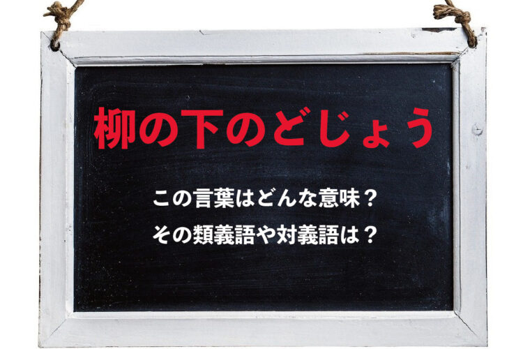 「柳の下のどじょう」とはどんな意味の言葉？その類義語や対義語は？