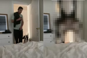 ベッドの上に飛び乗ろうとした子犬。ところがジャンプ力がありすぎて、ベッドでカメラを構えていた飼い主さんにまさかのアクシデントが！！