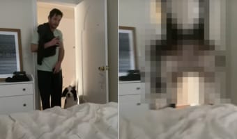 ベッドの上に飛び乗ろうとした子犬。ところがジャンプ力がありすぎて、ベッドでカメラを構えていた飼い主さんにまさかのアクシデントが！！