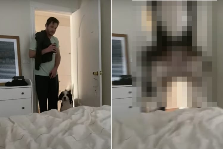 ベッドの上に飛び乗ろうとした子犬。ところがジャンプ力がありすぎて、ベッドでカメラを構えていた飼い主さんにまさかのアクシデントが！！