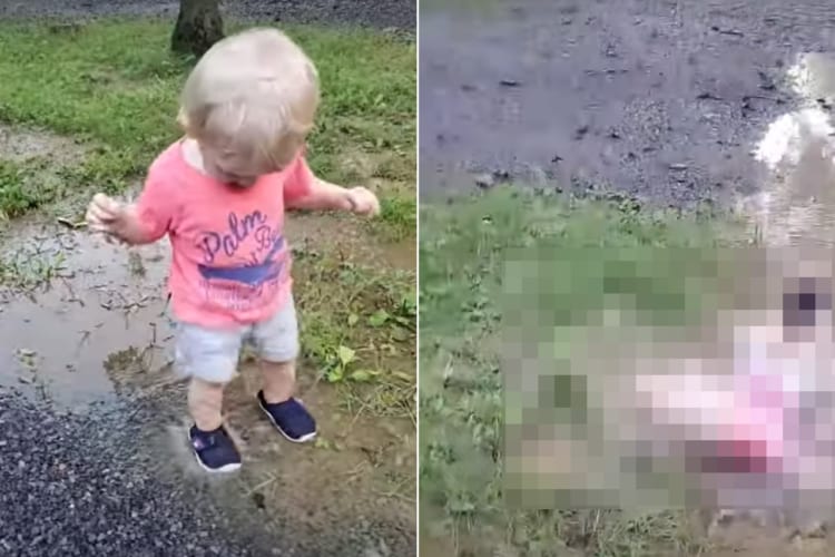 水たまりをパシャパシャするのが楽しい男の子。水しぶきをもっとあげようと深いところまで進んでいきますが・・・、その先にはハプニングが待っていました！