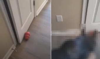 ドアの前にモノを置かれて部屋に閉じ込められてしまった女性。このとんでもないイタズラをしたのは・・・、なんとこのお宅の愛犬のジャーマンシェパードでした!