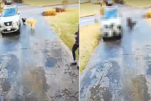 ちょっとお買い物に行こうとしたら・・・。愛犬たちを車に乗せていざ出発！飼い主さんも車に乗り込もうとしたところに、まさかのハプニングが！！