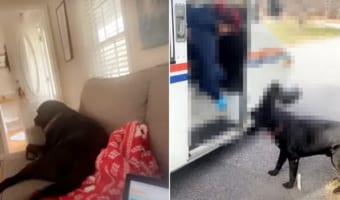 「早くお出迎えに行かなきゃ!」ソファでくつろいでいた犬が突然イソイソ。大歓迎の様子で向かった玄関にいたそのお客さんとは!!