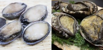 「とこぶし」と「あわび」は別物？それとも「とこぶし」は小さい「あわび」？