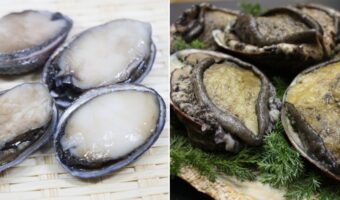 「とこぶし」と「あわび」は別物?それとも「とこぶし」は小さい「あわび」?