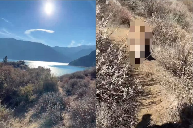 まさに危機一髪！雄大な景色の中歩いていると・・・、男性の後ろから猛獣として知られる『あの肉食獣』が姿をあらわしました！！