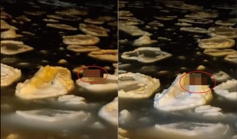 流氷の上をヒョイヒョイと!流氷を渡って姿をあらわしたのは、冬が似合う『あの動物』!!ところでこれは海岸から20km以上離れた場所なのだとか・・・