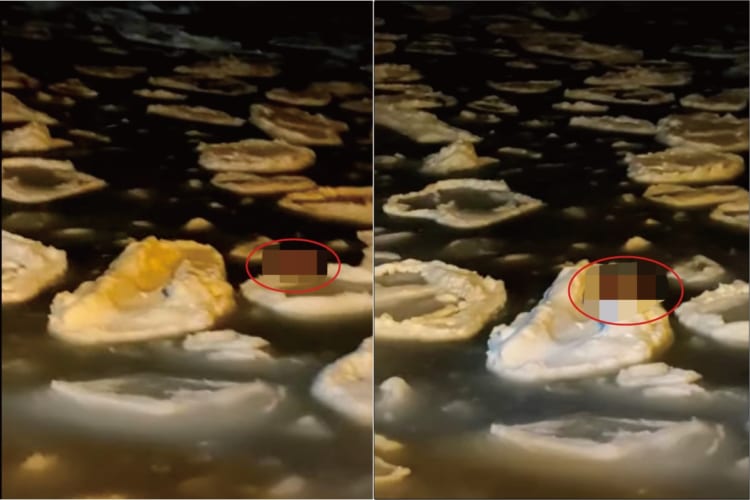 流氷の上をヒョイヒョイと！流氷を渡って姿をあらわしたのは、冬が似合う『あの動物』！！ところでこれは海岸から20km以上離れた場所なのだとか・・・