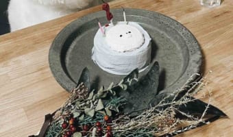 「人間が死闘の末に作ったケーキを前にする表情じゃないんよ」誕生日ケーキの前に座るビションフリーゼ、その表情が話題に!