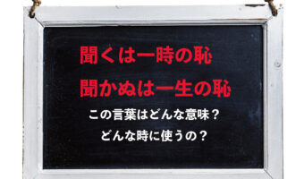 「聞くは一時の恥聞かぬは一生の恥」とはどんな意味の言葉？どんな時に使うの？