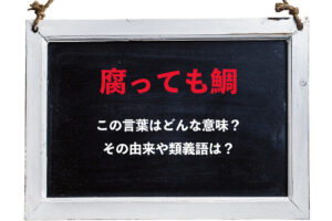 「腐っても鯛」とは褒め言葉として使える意味がある？なぜ鯛なの？その類義語は？