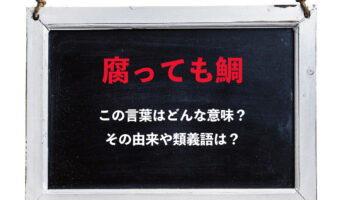 「腐っても鯛」とは褒め言葉として使える意味がある?なぜ鯛なの?その類義語は?