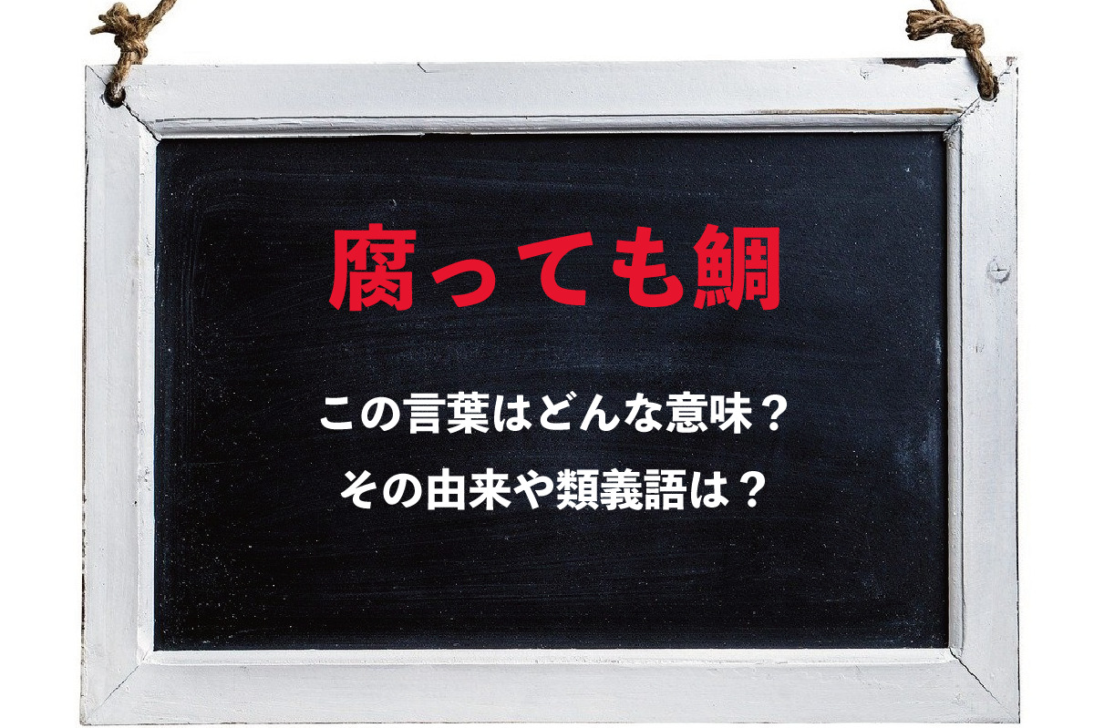 「腐っても鯛」とは褒め言葉として使える意味がある？なぜ鯛なの？その類義語は？