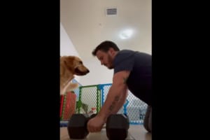ヘッドロックをかけたり、背中に乗ったり・・・。飼い主さんの筋トレをことごとく邪魔するゴールデンレトリバー。・・・もしかして遊んで欲しいの？