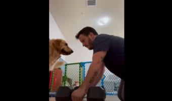 ヘッドロックをかけたり、背中に乗ったり・・・。飼い主さんの筋トレをことごとく邪魔するゴールデンレトリバー。・・・もしかして遊んで欲しいの?