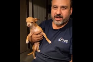 男性の表情や手の動きとそっくりなパフォーマンスを見せる犬。息がぴったりなうえに変幻自在な感情表現を披露してビックリ！