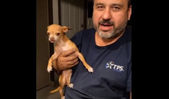 男性の表情や手の動きとそっくりなパフォーマンスを見せる犬。息がぴったりなうえに変幻自在な感情表現を披露してビックリ！