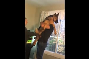 飼い主さんに抱っこされてご満悦の様子のシェパード。今度は女性が抱っこをしようとすると・・・、まさかのリアクションをとりました！！