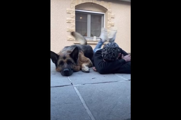 まさに阿吽の呼吸！お互いを見ていないのに男性の足の動きと、その愛犬のしっぽの動きが完全にシンクロしてる！！
