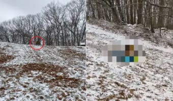 初めての雪にテンションが上がったけれど・・・。初めてのソリは簡単ではなかったようで、バランスを崩しスリリングな姿勢で斜面を滑っていきました