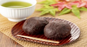 「棚からぼたもち」とはどんな意味？その由来とされる状況が流石に実際には起きなそう・・・