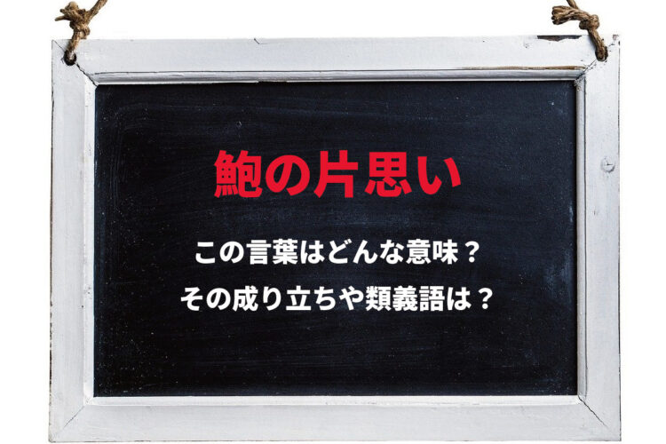 「鮑の片思い」とはどんな意味？鮑が本当に片思いでもしているの？？
