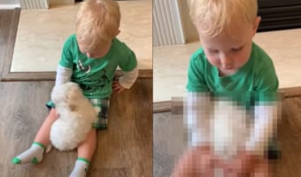 【尊い】ふたりはなかよし!男の子に優しく体を撫でてもらったりぎゅっとハグをしてもらえて、子犬はとても幸せそう!!
