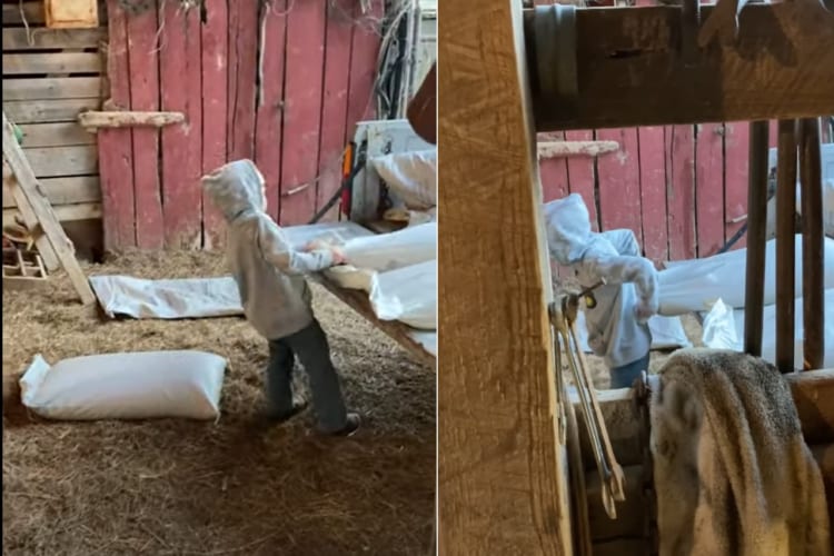 お父さんのお手伝いをする男の子。トラックから重い飼料をなんとかしておろそうとする根気強いその姿が、健気でもありカッコよくもあります！！