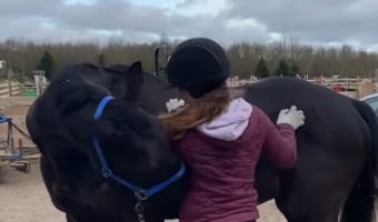 飼い主さんが体を掻いてくれているお礼なのかな?馬も飼い主さんの背中をカキカキしてくれています