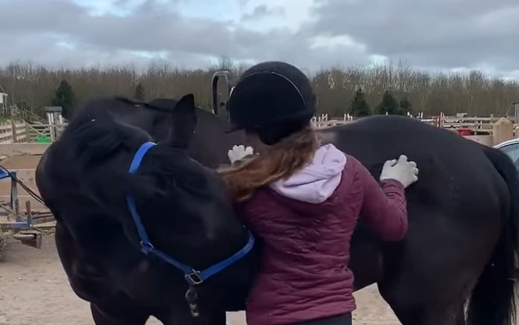 飼い主さんが体を掻いてくれているお礼なのかな？馬も飼い主さんの背中をカキカキしてくれています