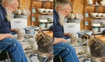 猫もろくろを回したい?男性が操作するろくろに反応する猫。男性の背中にはすやすや眠る赤ちゃんの姿もあって、とても幸せそうな光景です
