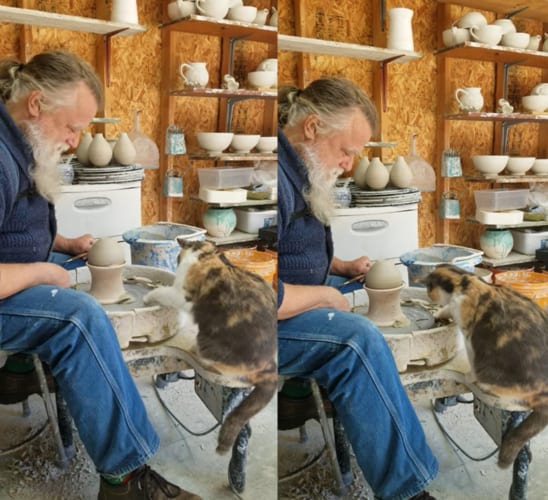 猫もろくろを回したい？男性が操作するろくろに反応する猫。男性の背中にはすやすや眠る赤ちゃんの姿もあって、とても幸せそうな光景です