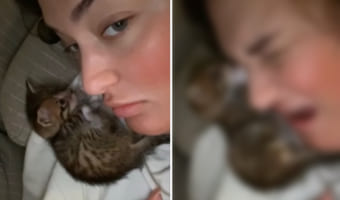 まばたきで動くまつ毛が気になった？飼い主さんの肩に乗ってくつろぐ子猫が取ったまさかの行動にビックリ！！