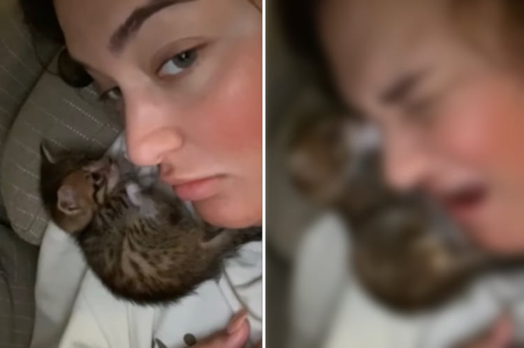 まばたきで動くまつ毛が気になった？飼い主さんの肩に乗ってくつろぐ子猫が取ったまさかの行動にビックリ！！