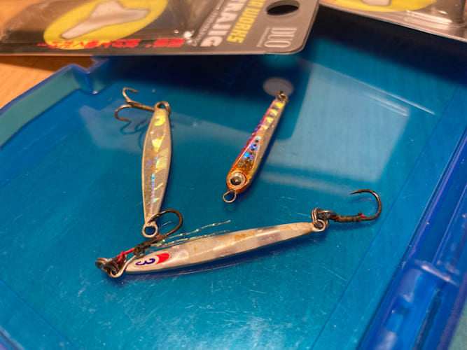 アジングはワームだけじゃない！アジは『メタルジグ』でも釣れる！！