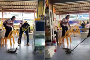 レストランにオオトカゲがあらわれた！！突然の出来事に、女性は椅子の上に逃れるも足元にオオトカゲがいて大パニック！！