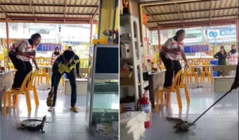 レストランにオオトカゲがあらわれた!!突然の出来事に、女性は椅子の上に逃れるも足元にオオトカゲがいて大パニック!!