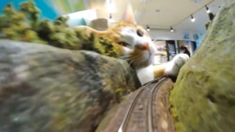 ジオラマに電車を走らせていたら・・・巨大猫に襲われた？！？！自由に過ごす保護猫愛らしい姿に、この電車に乗りたいと希望する猫好きさんが殺到！！