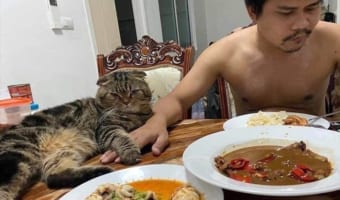 「猫に夫を盗まれた!」と訴える妻のSNS投稿が世界で話題!投稿画像には確かに妻から夫を奪ったリアル泥棒猫の姿が写されていた!!