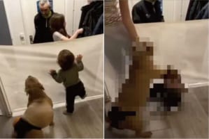 パパとママが帰宅したことに愛犬が大興奮した結果・・・、すぐ横にいた赤ちゃんは思わぬハプニングに遭うのでした