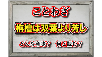 「栴檀は双葉より芳し」とはどういう意味の言葉？「栴檀」とはなんのこと？
