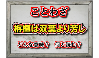 「栴檀は双葉より芳し」とはどういう意味の言葉?「栴檀」とはなんのこと?
