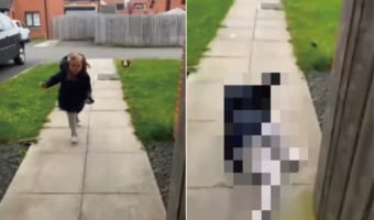 リードを持って走る女の子でしたが、リードの先にいる愛犬は動く気なんてなかったみたい。ふたりの意識の差が女の子に悲劇を呼びました