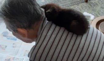 「気付けばこんなに大きく!」1歳のお誕生日を迎えた元保護猫。保護された当時と現在の姿を見比べると成長していても、大好きな場所は変わりません!
