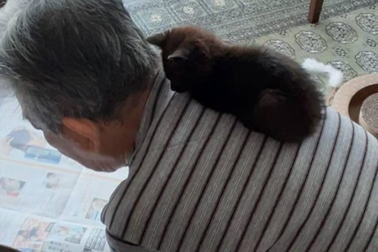 「気付けばこんなに大きく！」1歳のお誕生日を迎えた元保護猫。保護された当時と現在の姿を見比べると成長していても、大好きな場所は変わりません！