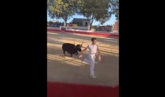 闘牛士が、闘牛に凄まじい勢いで追われている!これは万事休すか・・・と思われましたが、間一髪でフェンスを跳び越えて逃げ切りに成功しました!